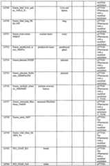 Figure imgf001278_0001