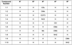 Figure imgf000006_0001