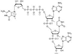 Figure imgf000070_0001