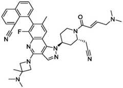 Figure BDA0003993773060003071