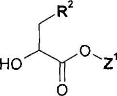 Figure A2006800095860039C4