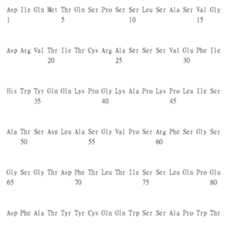 Figure 105135184-A0305-02-0151-23