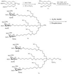 Figure imgf000548_0001