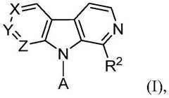 Figure BDA0002943960970000171