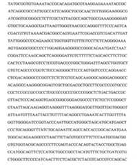 Figure 109103078-A0101-12-0105-55