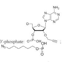 Figure imgf000174_0001