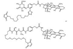 Figure imgf000247_0001