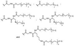 Figure imgf000091_0001