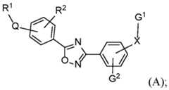 Figure imgf000006_0001