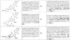 Figure 0007174143000333