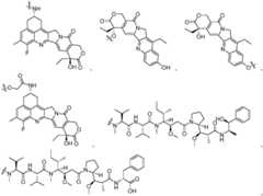 Figure FDA0003875440210000174