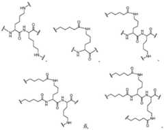 Figure BDA0003357312860000641