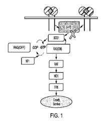 Figure 2023509701000001