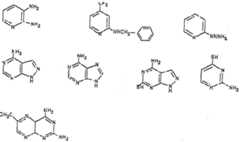 Figure imgf000036_0003