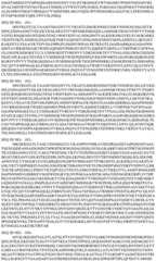 Figure BDA0003508968760001281