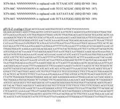 Figure imgf000113_0002