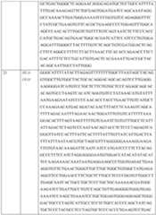 Figure imgf000102_0001