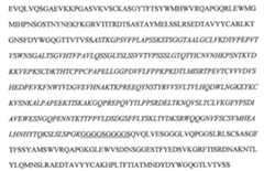 Figure 112146378-A0202-12-0078-70