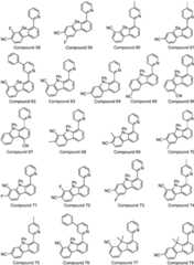 Figure FDA0001964607630000511