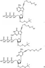 Figure BDA0003670511740002751