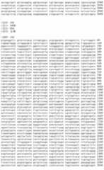 Figure IDA00002091897101931