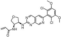 Figure GPA0000263212130001571