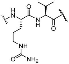 Figure imgf000019_0002
