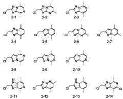 Figure JPOXMLDOC01-appb-C000132