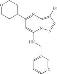 Figure US07119200-20061010-C01343