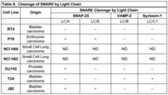 Figure imgf000093_0001