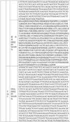 Figure BDA0004033970230007291