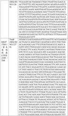 Figure BDA0004033970230006511