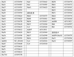 Figure DEST_PATH_IMAGE010