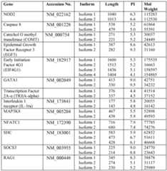 Figure imgf000044_0001