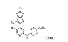 Figure imgf000023_0001