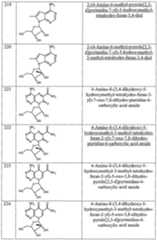 Figure imgf000044_0001