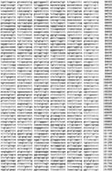 Figure IPA0000293710130000301