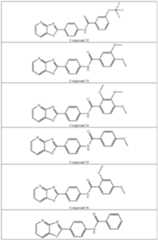 Figure imgf000016_0001