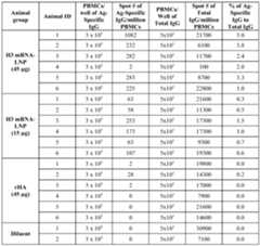 Figure imgf000077_0001