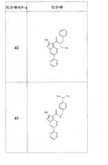 Figure FSB00000082108100301