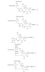 Figure 112009026250918-PCT00058