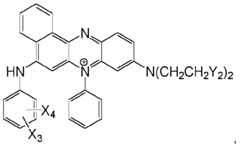 Figure imgf000048_0001