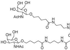 Figure imgf000306_0001