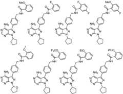 Figure BDA0001661073090000232