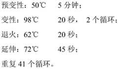 Figure BDA0001911888010000052