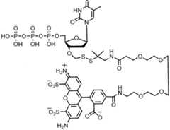 Figure imgf000243_0002