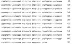 Figure 105116461-A0202-12-0342-193