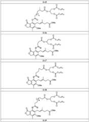 Figure imgf000061_0001