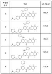 Figure 112019102334849-pat00025