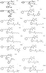 Figure imgf000178_0001